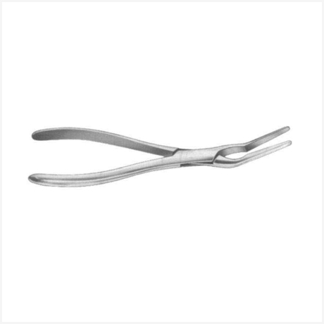 Asch Septum Straighting Forceps 23cm