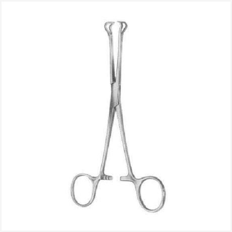 Babcock(Standard) Tissue Forceps