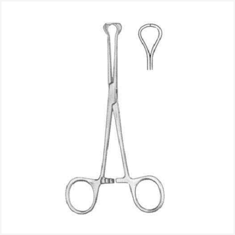 Baby-Babcock Tissue Forcep BJ 16cm