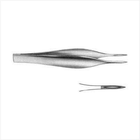 Feilchenfeld Splinter Fcps