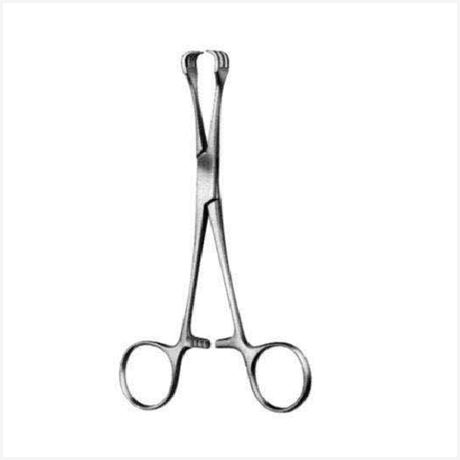 Lahey Goitre Seizing Fcps 3x3T