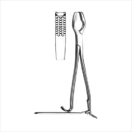 Lane Bone Holding Forceps With Rachet