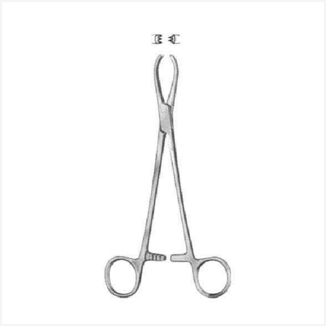 Littlewood Intestinal Tissue Forceps 18.5cm