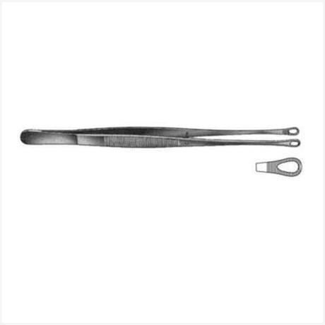 Singley Tuttle Lung Grasping Fcps