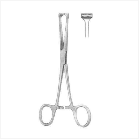 Steinmann Tendon Seizing Instruments 16cm